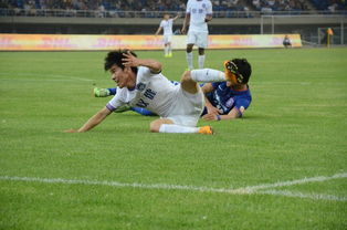 泰达主场小胜舜天，巴尔克斯烈鸟状态火热