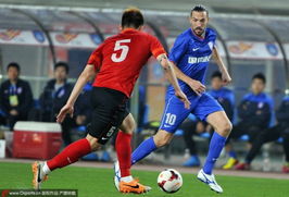 高洪波拟以高压战术应对申鑫，球迷建言安塔尔改打后腰助力舜天